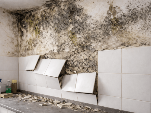 牆面發霉、磁磚隆起好困擾？室內設計與裝修防潮攻略公開